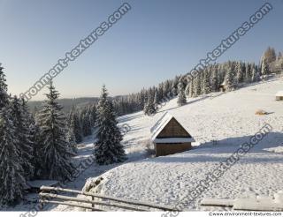 background forest winter 0012